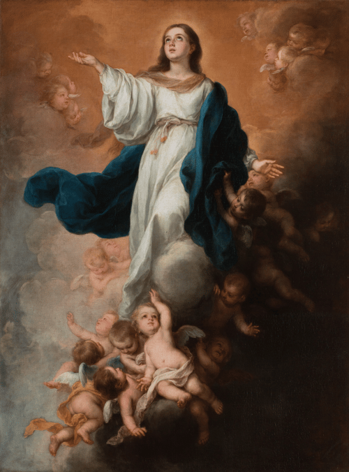 Solemnity of the Aummption of the Blessed Virgin Mary